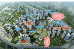 包罗宝洁、LG、本田、阿里巴巴华南总龙头企业纷